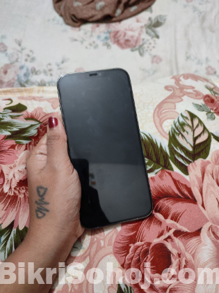 Iphone 12 pro max